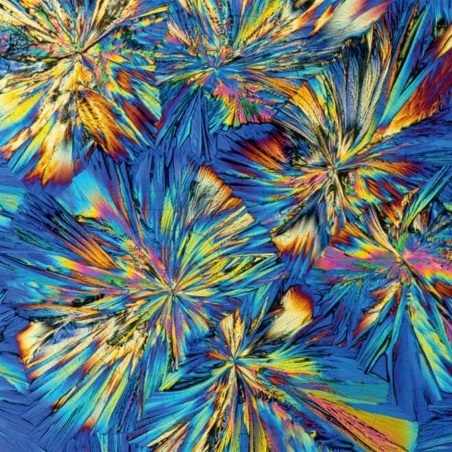 Crystals of Adrenaline under an electron microscope.