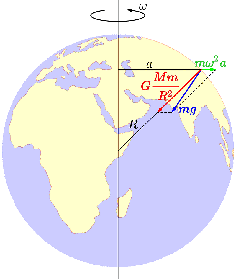 The force of gravity mg is composed of the planet's gravitational attraction GMm/r2 and the centrifugal force of inertia mω2a.