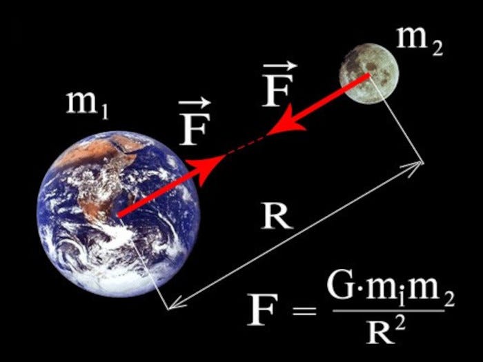 Gravity or gravitational force.