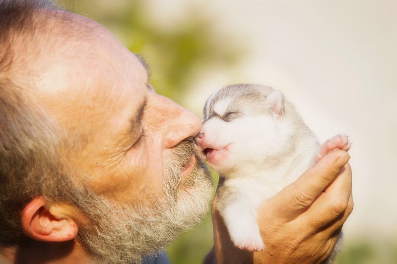 A person whose 'Monad' was formed from the animal collective consciousness of any kind, which closely lived and interacted with the 'Human' or 'Mage' of a particularly high 'Caste', feels an inexplicably strong connection with animals that were representatives of his 'Totem' in the past.